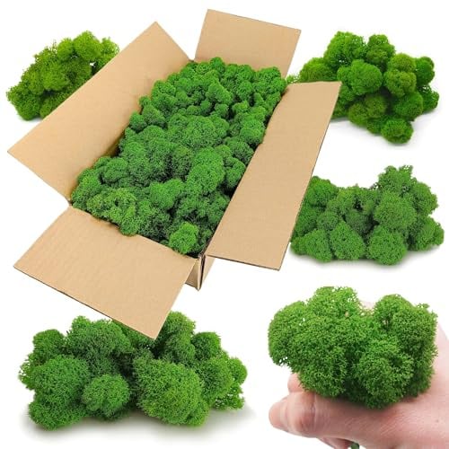 Scandinavian Moss Islandmoos Rentiermoos, stabilisiertes Moos, wartungsfrei, konserviertes finnisches Moos, gereinigt, Premium, für Wand- und Bilddekoration, Blumentöpfe und Wohndekoration 500g/0,5kg