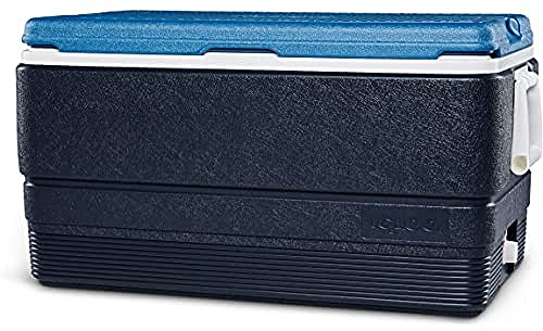 IGLOO Maxcold Nevera, Outdoor, Azul, 66 litros