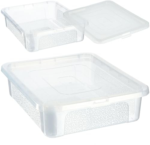 KADAX Rechteckige Aufbewahrungsbox mit Deckel, Aufbewahrungsbehälter, Stapelbehälter, Plastikbox, Kunststoffbox, Platzsparende Aufbewahrungskiste (10L, Transparent)