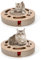 Nobleza 2 x Rascador para Gatos con Hierba Gatera，Redonda Rascadoras de Cartón para Cama con 2 Juguetes para Gatos Interactivos Pelotas