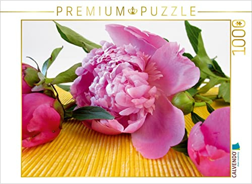 CALVENDO Puzzle Pfingstrosen - EIN Motiv aus dem Kalender Momente zum Innehalten | 1000 Teile Lege-Größe 64 x 48 cm Foto-Puzzle für glückliche Stunden