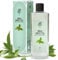 Rebul Green Tea Eau de Cologne | Kölnisch Wasser für Herren Glasflasche 250ml After Shave, Cologne, Rasierwasser für Herren und Damen