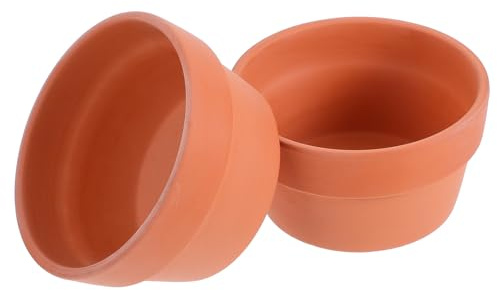 ibasenice Terrakotta Blumentopf 2 Stück aus Ton mit Loch, Orange | Garten, Fördert Wurzelwachstum und Luftzirkulation, Tontopf mit Loch