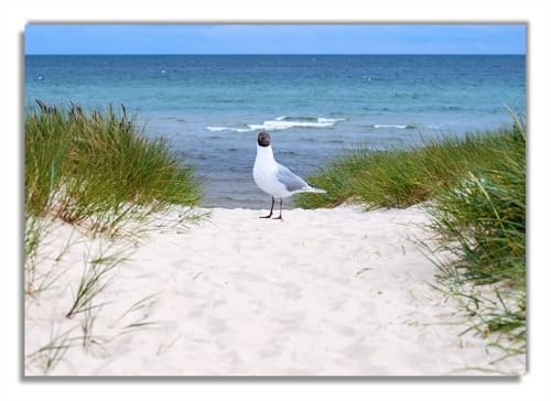 Wallario selbstklebendes Poster - Möwe auf der Düne, Aufkleber in Premiumqualität, Klebefolie Größe: 70 x 100 cm (Riesenposter)