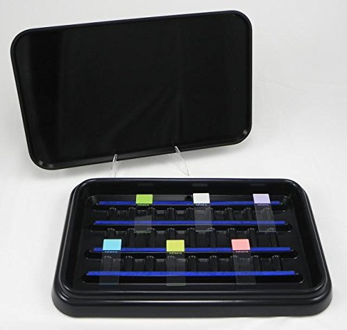 Stacking Laboratory Slide Staining Tray 20 Capacity With Black Lid