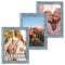 VictoR Bilderrahmen Vintage Vincent in Grau Blau 3er Set 21x30 cm (A4) - Vintage Fotorahmen Landhaus - Deko Rahmen mit bruchsicherem Acrylglas - Bilderrahmen 20x30 Grau