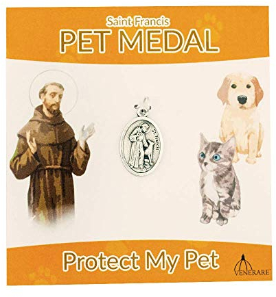St. Francis Pet Medaille für Haustiere, oval, klein, tolles Geschenk für Haustierliebhaber, mit Karte in verschiedenen Farben Orange Card