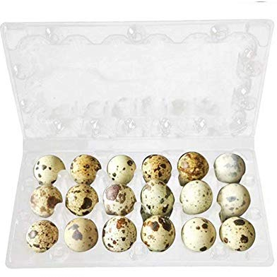 50 Stück Wachteleierkartons mit Deckel, Wachteleier-Karton für kleine Eier, Wachteln, Fasan, Huhn, Kühlschrank, Eieraufbewahrung ohne Ei