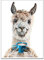 TANGTANGH Lama Latte Poster leinwand malerei Nordic wandkunst Bilder Wohnzimmer wohnkultur kein Frame (Size (Inch) : 50x70cm Noframe)