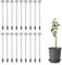 YDHfdc Tuteur Plante 18 Pièce Tuteur Plante Interieur 27cm Tuteurs pour Plantes Support Tuteurs Fixation de Croissance des Plantes pour Orchidées, Pivoines, Lys, Rose Etc