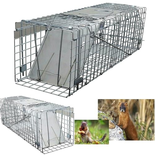 Piège à Animaux Vivants pour écureuil, Lapin, Rat et belette pour écureuils, Lapins, mouffettes, Chats et Autres Petits Animaux, Attrape-Souris Facile à Installer