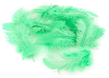 20 Flaumfedern 8-12cm (mintgrün/mint 513) // Marabufedern Bastelfedern Hühnerfedern Dekofedern Schmuckfedern Federn