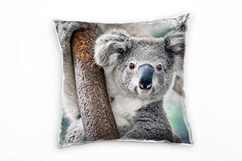 Paul Sinus Art Tiere, Koalabär am AST, braun, grau Deko Kissen 40x40cm für Couch Sofa Lounge Zierkissen - Dekoration zum Wohlfühlen