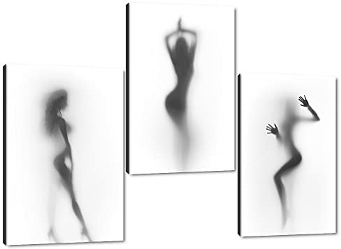 3 Stück schwarz-weiße Wandkunst für großes Wohnzimmer, Wandbehang, sexy nackte Frau, Leinwandgemälde, nacktes Mädchen in der Dusche, schwitziges Schatten, 61 x 91 cm (B x H), 3 Stück