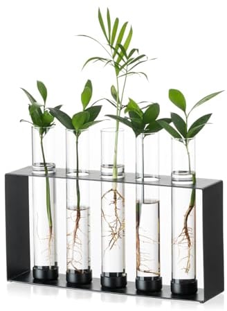 Sziqiqi Plantas Propagació Estación - Jarrón Terrario de Cristal con 5 Tubos de Ensayo para Plantas Hidropónicas Moderno Jarrón de Metal para Flores Jarrones de Escritorio Negros para Hogar