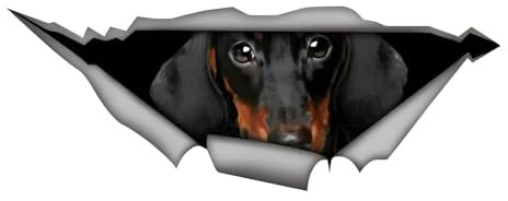 Autoaufkleber Dackel Aufkleber 15cm(5.9 Inch) Dackel Reflektierende Aufkleber Dackel 3D Zerrissen Autoaufkleber Haustier Hund Personalisieren Lustig Aufkleber Dachshund Car Sticker Lustig Dekor