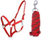 ARBO-INOX Halfter-Set Beginner de lux - Halfter + Führstrick - graue Akzente - verstellbar (Shetty, Rot)