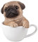 Pacific Giftware Mops Figur in Tasse 14,5 cm - Hunde Welpe Baby Dekofigur Geschenk für Hundeliebhaber