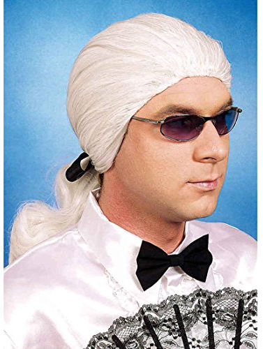 NET TOYS Perücke Karl Männerperücke mit Zopf weiß Zopfperücke Karneval Lagerfeld Herrenperücke, Einheitsgröße, Kunsthaar