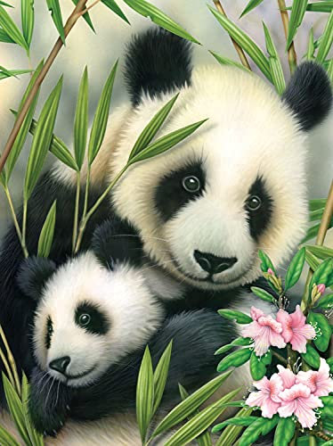 Peinture par numéros - Junior Panda, tableau DIY d'environ 33 x 24 cm, y compris 7 couleurs acryliques, pinceaux et carton à peindre imprimé, pour débutants et enfants à partir de 8 ans