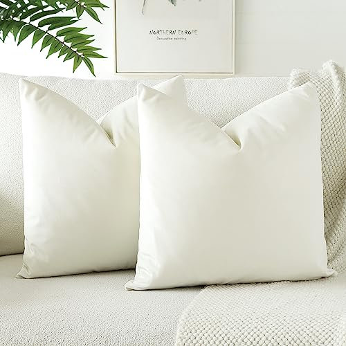 JOTOM Samt Kissenbezug Kissenhülle Sofakissen Dekokissen Kissenbezüge für Sofa Wohnzimmer Schlafzimmer 2er Set 40x40 cm Beige