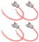 Taesayl Einspritzdüse Diesel Injektorstecker DELPHI DJ70229A-3.5-21, 240PC024S8014 mit Kabel Delphi Kabelstecker 4 x WEIBLICHER Kabelwagen FCC Einspritzung