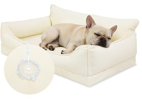 Favodormir Orthopädisches Hundebett-73x45 cm,Beige Wasserdicht Kunstleder Hundekorb für Kleiner Hunde, Leicht zu Reinigen,Waschbar Hundesofa mit Rutschfester Boden, Rundum Erhöhter Rand Hundekissen