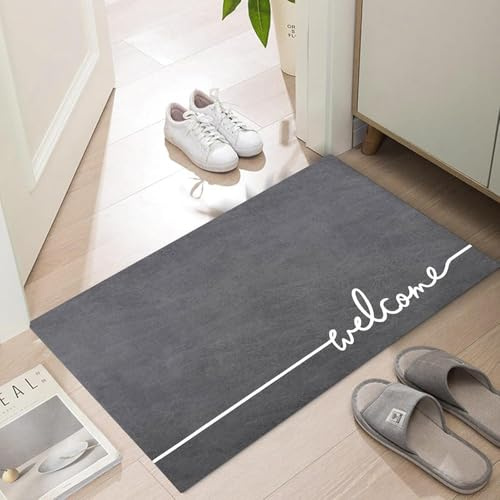 LYGLIGH Ultra Thin Indoor Door Mat, 1/10 in Thin Door Mats for Inside Entry | 30X17 Welcome Mat with Natural Non-Slip Rubber Backing, Washable, Pet-Friendly, Dirt Trapper & Absorbent for Entrances
