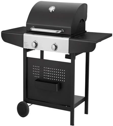 Barbecue Grill Cucina da Esterno a Gas QLIMA OKG102 2 Fuochi 6000 Watt - Outdoor