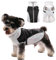 CITÉTOILE Hundemantel Winter,Warmer Hundemantel mit Geschirr, Wasser & Winddichte Reflektierender Wintermantel Hund, Hundejacke mit Reißverschluss und Stehkragen für Grosse Hunde, XL