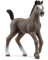 SCHLEICH Horse Club | Cheval de Selle Francais Fohlen 13957 | detailgetreues Pferd | tolles Geschenk für Mädchen und Jungen Pferde Spielzeug für Kinder ab 5 Jahren | 8 x 3 x 8 cm