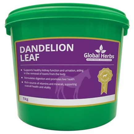 Global Herbs Dandelion Leaf Equine Kidney, Liver & Fluid Balance Support 1kg Herbal Supplement for Horses