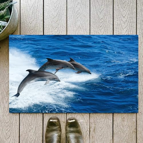 OHJEAJDS Badezimmerteppich rutschfest Badematte 60 x100 cm,Badteppich Saugfähig Weich Maschinenwaschbar für Badezimmer,Baby-Meerestier Delphin springt aus dem Meer