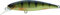 Illex Squad Minnow 95 SP Perch