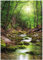 Wallario Poster - Fluss im Wald in Premiumqualität, Größe: 70 x 100 cm (Riesenposter)