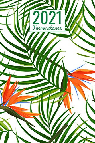 Terminplaner 2021: Wochenplaner, Taschenkalender und Terminkalender 2021 zum planen, organisieren und notieren - Terminplaner 2021 Studium , Schule , Beruf , Geschenke für Familie Kollege