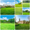 300 Pcs Rasensamen Schnellkeimend - Zoysia Japonica - Exotische Pflanzen Winterhart Rasensaat Grassamen Schattenrasen, Dachbegrünung Kübelpflanzen Grünpflanzen Winterharte Stauden Topfpflanzen