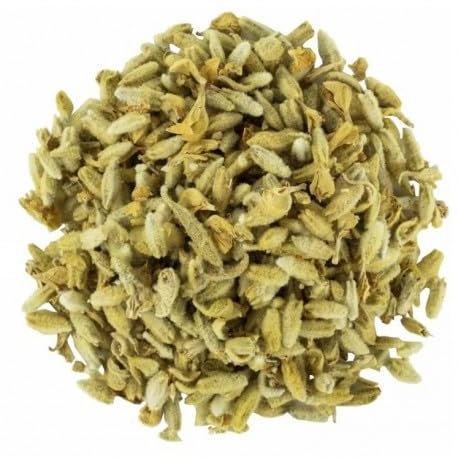 MasarySpice - Lamium Jaune, Plante Médicinale, 100 g, Herbe à Miel, Origine Turquie