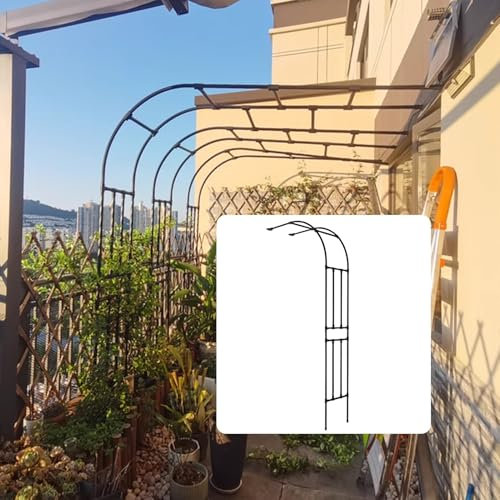 DMCHENGMA Treillis métallique Demi-Arc en Acier pour décoration extérieure, Support Mural pour Plantes grimpantes, Fleurs, légumes et Fruits - Noir(60CMx40CMx240CM)