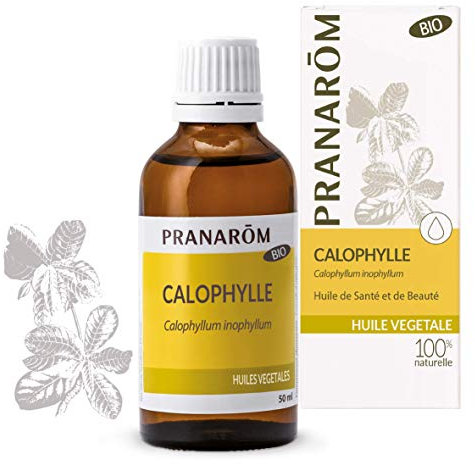 PRANAROM - Calófilo - Aceite Vegetal 100% Bio - Calophyllum Inophyllum - Obtenido por Primera Presión en Frío del Fruto del Calófilo - 50ml