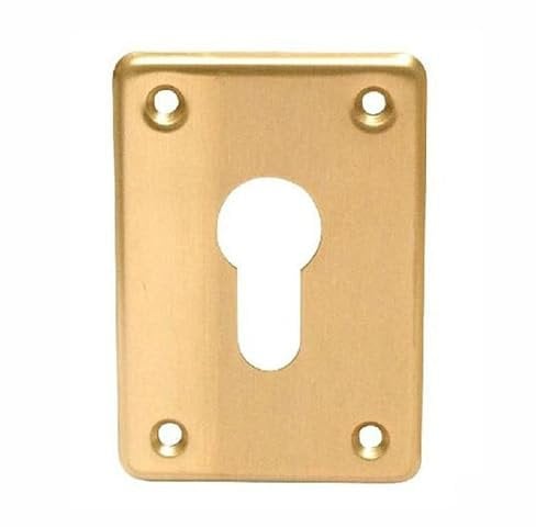 Cisa 06043.00.0 – Blende 52 x 75 Zylinder Profil
