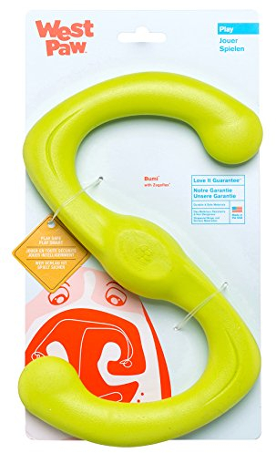 West Paw Design Hundespielzeug Zogoflex Bumi, Größe L, apfelgrün