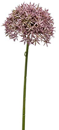 artplants.de Künstliche Blume Allium ARNAU, rosa, 60cm - Kunstblume Zierlauch