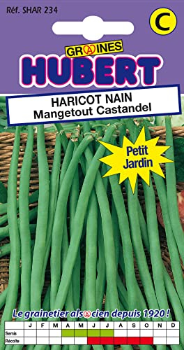 50 Graines de Haricot nain Mangetout Castandel - Format Petit Jardin