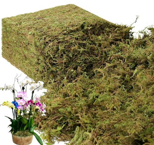 BYHER 2.2LB Large Capacity Fake Moss for Plants Indoor, 35 OZ Fresh Green Moss for Potted Plants Craft Moss for Home & Office Decor Fairy Garden Decoration (Fresh Green - 992gr)