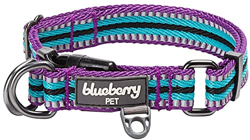 Blueberry Pet 2,5cm L 3M Reflektierendes Bunt Gestreiftes Violett und Himmelblaue Hundehalsband für Große Hunde