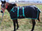 91,4 cm 600D Miniatur weanling Esel Pferd Pony Fohlen Winter Decke 51945