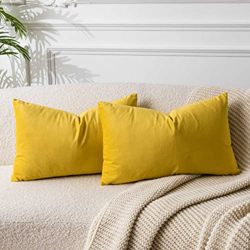 JUSPURBET Gelb Lendenkissen Samt-Kissenbezüge 40cmx60cm 2er-Set für Wohnzimmer Couch Sofa Schlafzimmer Dekorative Rechteckig Feste Weiche Kissenhüllen mit unsichtbarem Reißverschluss