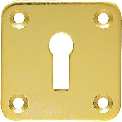 Standard Lock Profile Open Escutcheon - 50 x 50mm - Polished Brass Keyhole Cover | Door Keyhole Cylinder Plate Cover - for Use with Lever on Rose Door Handles - Door Fixing Hardware