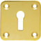 Standard Lock Profile Open Escutcheon - 50 x 50mm - Polished Brass Keyhole Cover | Door Keyhole Cylinder Plate Cover - for Use with Lever on Rose Door Handles - Door Fixing Hardware